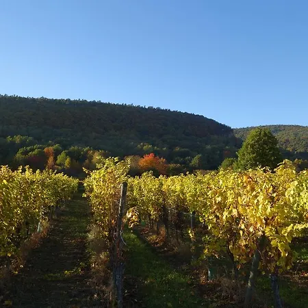 Casa de Férias La Fixoune Voegtlinshoffen
