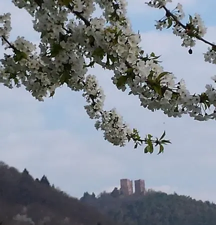 La Fixoune Voegtlinshoffen