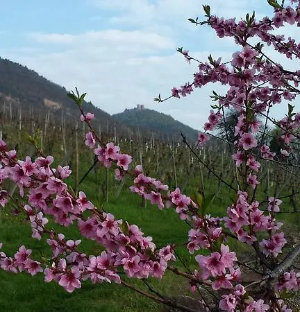 La Fixoune Casa de Férias